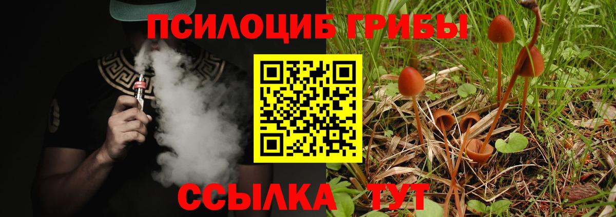 Ковров  Псилоцибиновые грибы GOLDEN TEACHER  Вход с VPN 